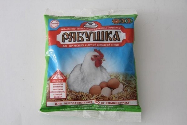 Urogallo para gallinas ponedoras