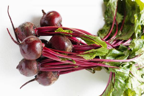 beet photo