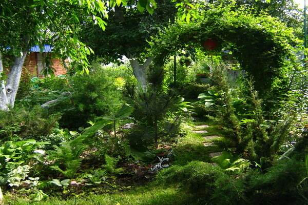 cozy corners in the garden photo