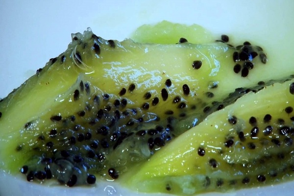 lumalaking kundisyon ng kiwi