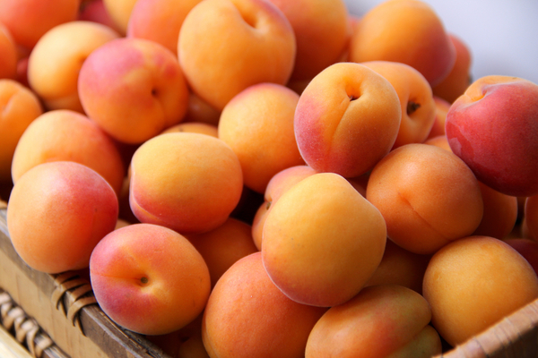 Apricot fruit