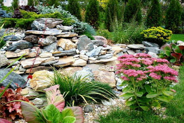 Rock garden do it yourself