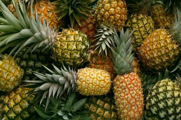 ananas