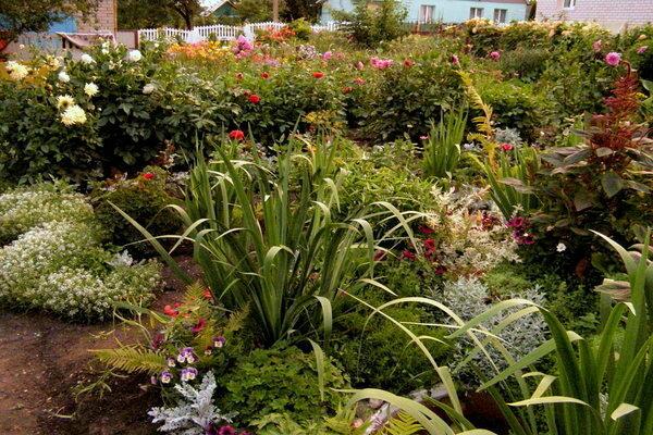 flower bed