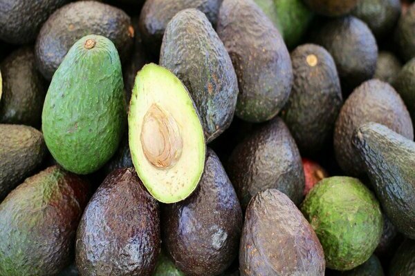 Avocado fruit how to choose?