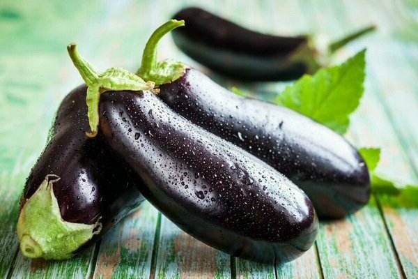 planting eggplants in the greenhouse