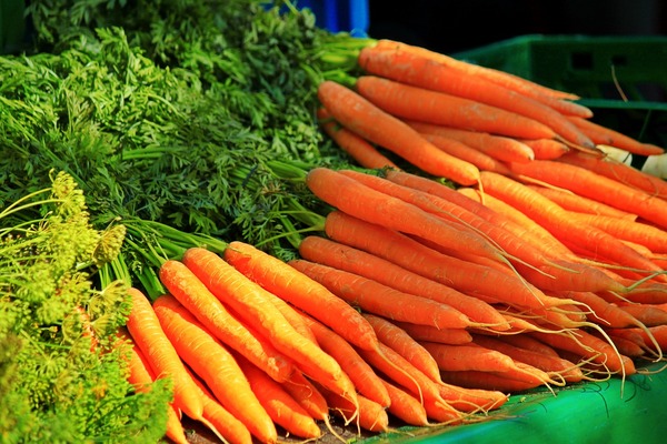 carrot soil in spring