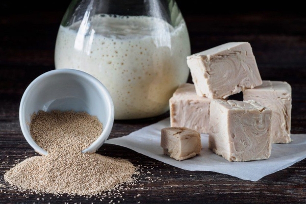 yeast feeding for cucumbers