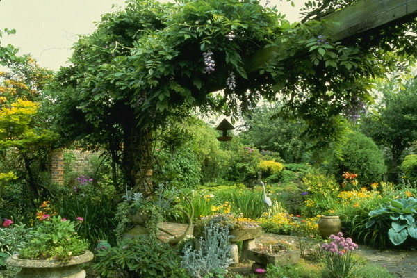 vertical gardening in the country