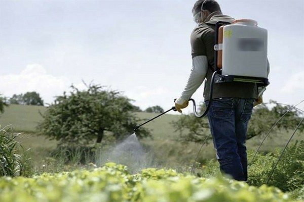 Gardeks des mauvaises herbes: commentaires des résidents d'été