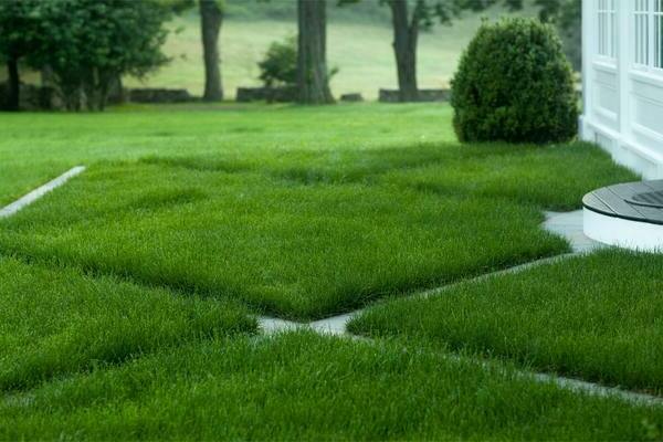 DIY lawn