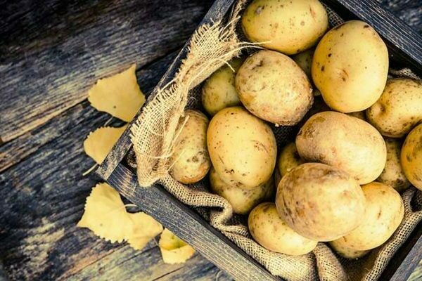 potato varieties