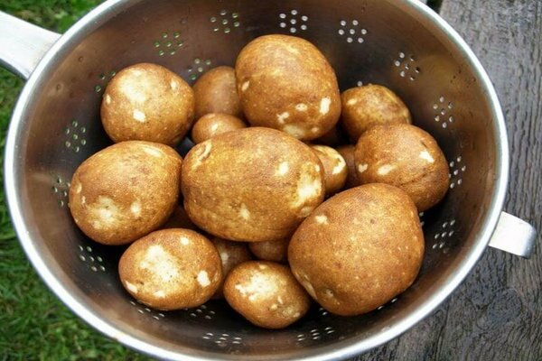 Kiwi patatas: paglalarawan, pangunahing mga katangian ng pagkakaiba-iba