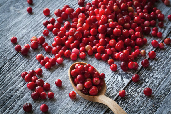 cranberry