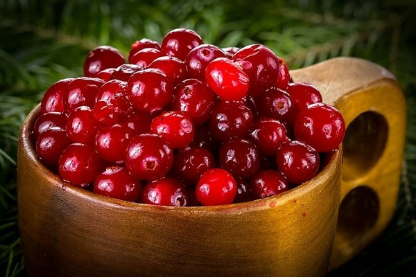 Cranberry