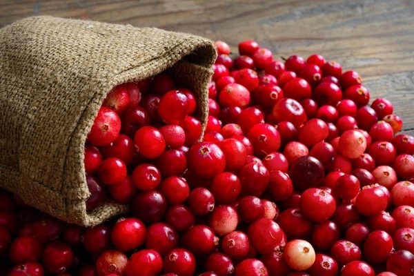 cranberry