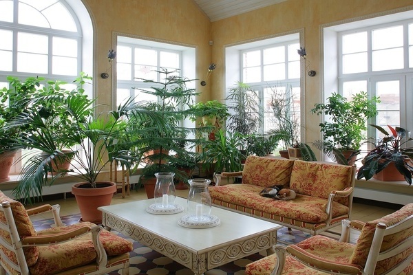 houseplants