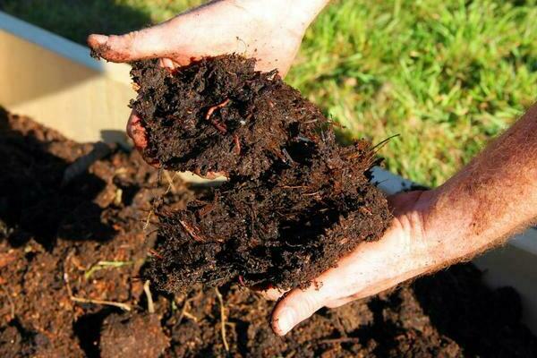 fertilizer with your own hands