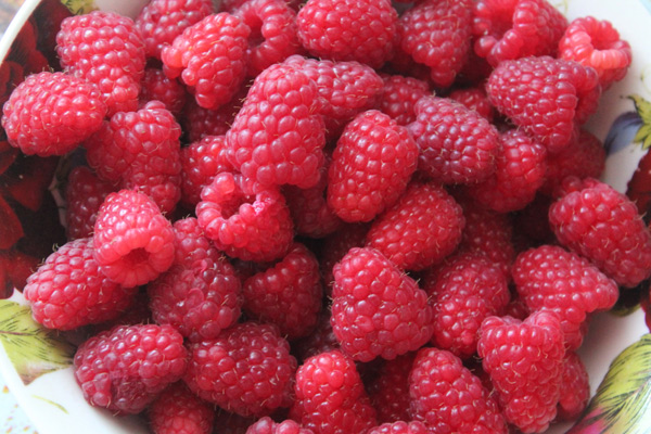 raspberry hussar