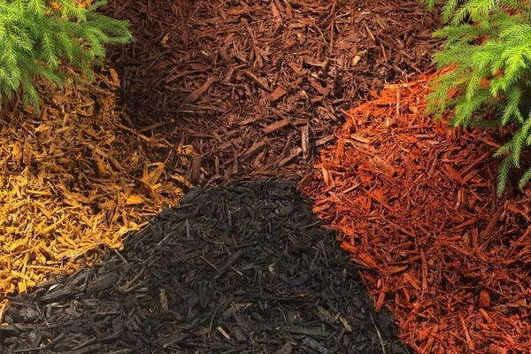 mulch