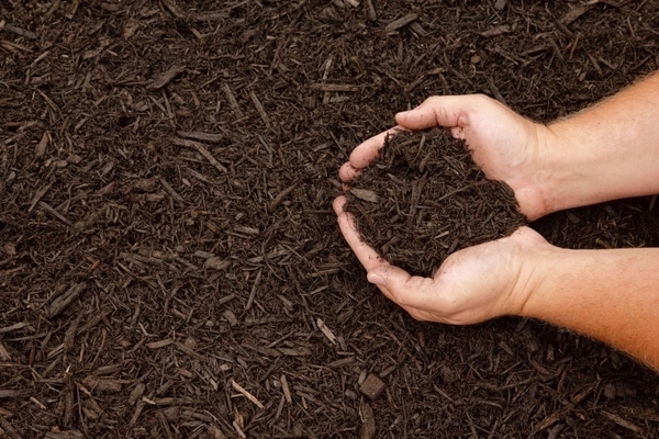 mulch photo