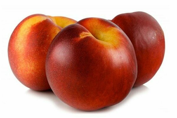 Nectarine varieties description