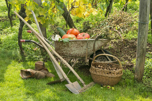 im Garten arbeiten