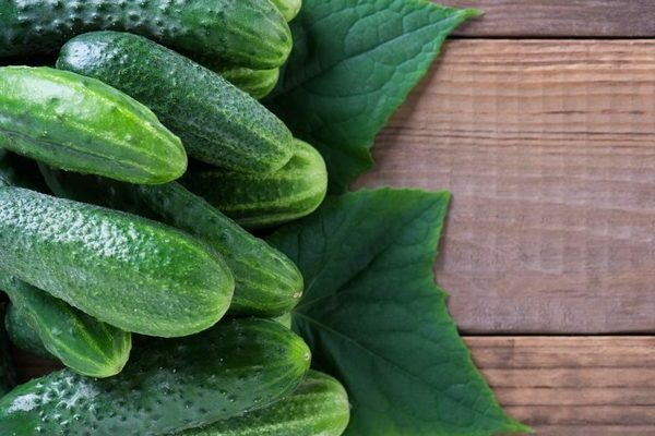 cucumber varieties