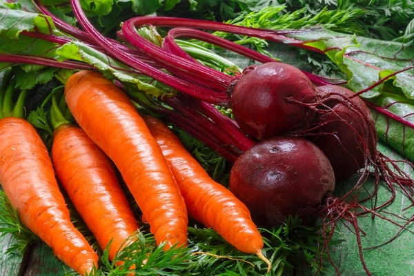 soil for carrots in spring