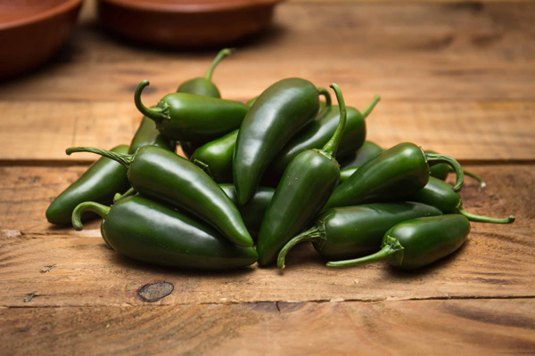 jalapeno-Chilischote