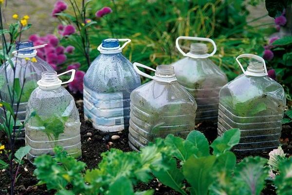 für den Garten mit eigenen Händen aus Plastikflaschen