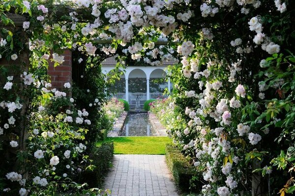 vertical gardening in landscape design