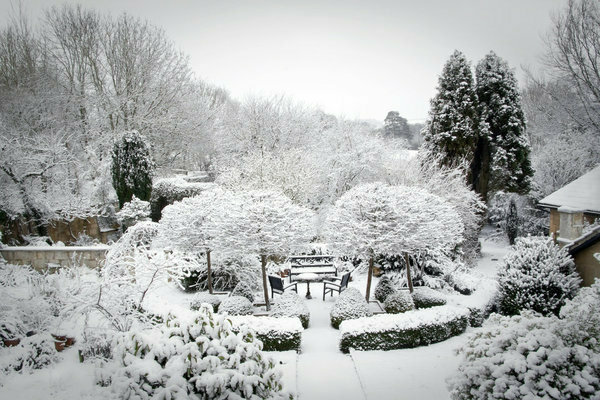 Potager d'hiver