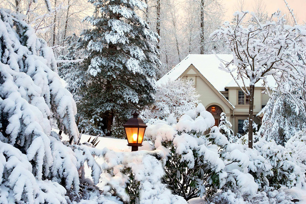 Garten im Winter