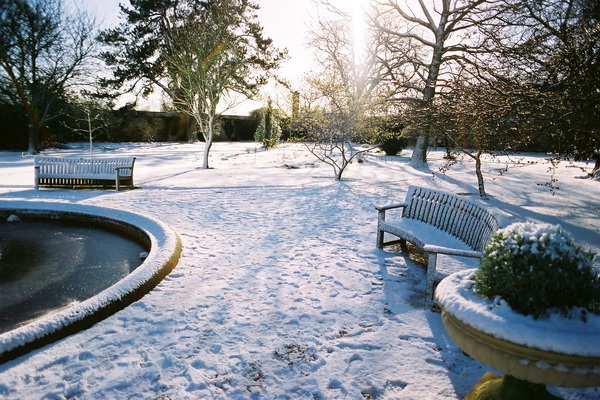 Garten im Winter