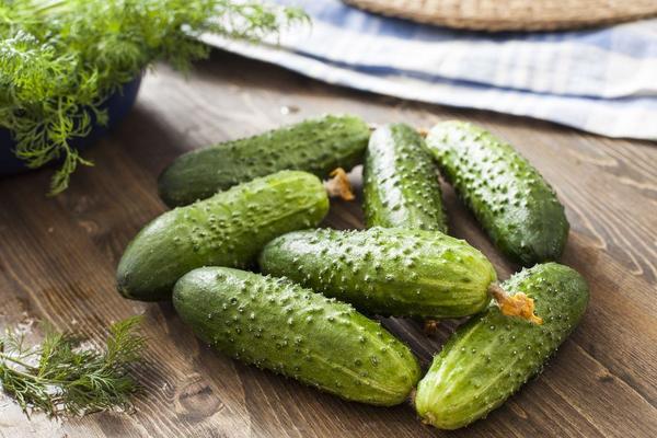 self-pollined cucumber varieties