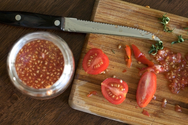 tomato seeds as right