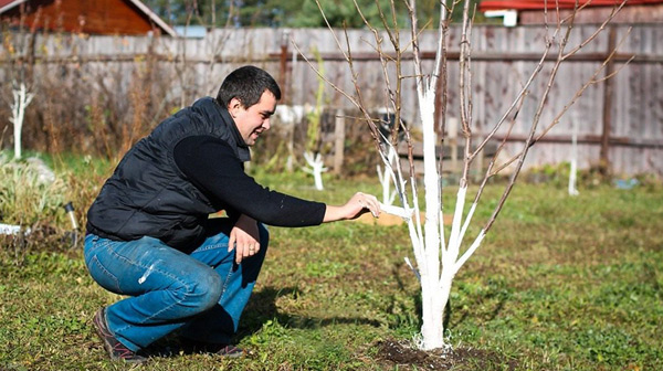 saisonale Gartenarbeit