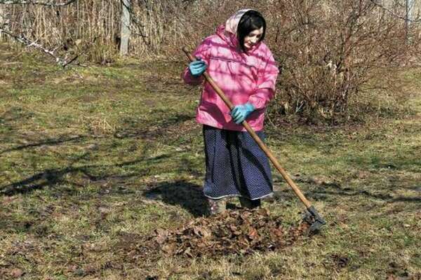 Spring work in the country