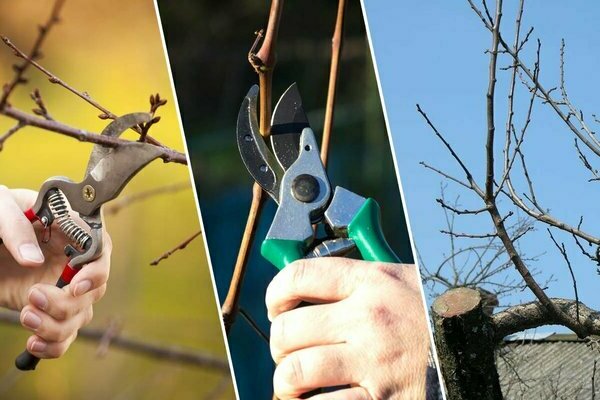 Nagtatrabaho sa bansa noong Abril: pruning