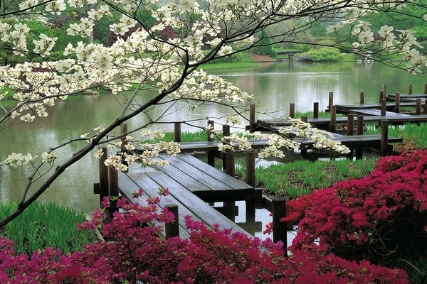 japanischer Garten