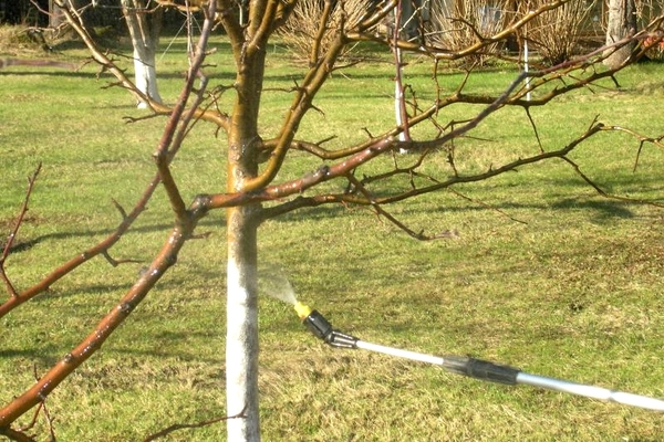 Gartenbehandlung