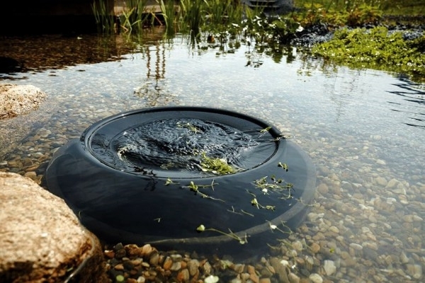 paglilinis ng mga pond ng bansa