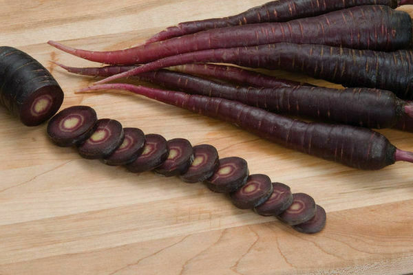 black carrot