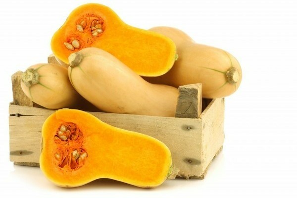 kalabasa butternut