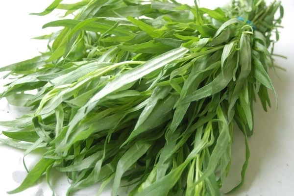 tarragon