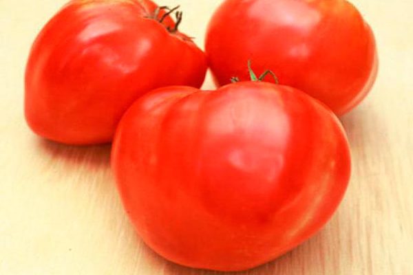 tomato giant