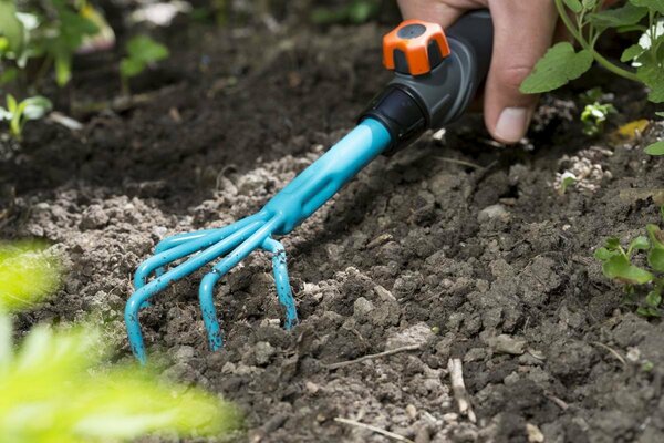 on what soil do vegetables grow