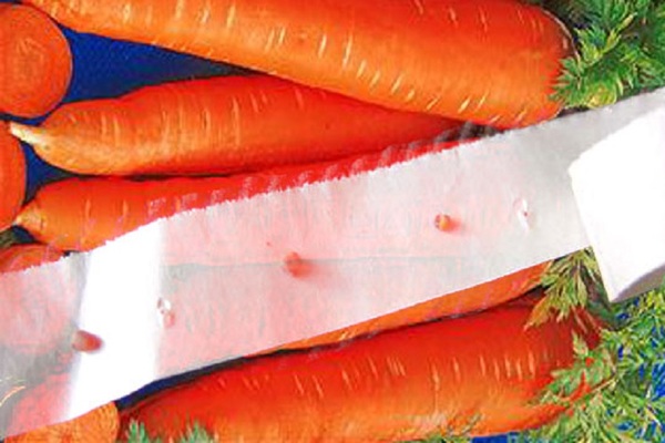 carrot seeds on a ribbon