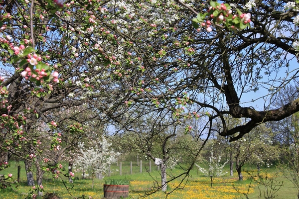 Gartenverarbeitung